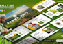 design a professional pitch deck and powerpoint presentation